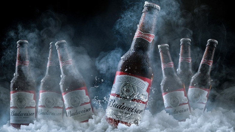 Bottles of Budweiser beer in icy snow