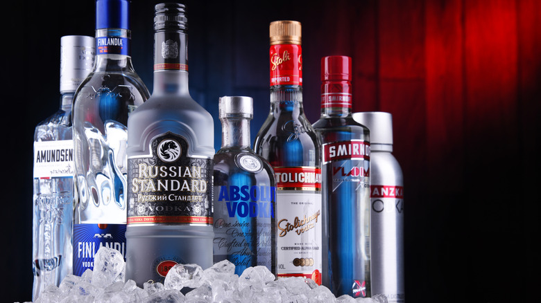 Bottles of popular vodka brands