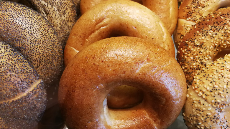 Three kinds of bagels lined up