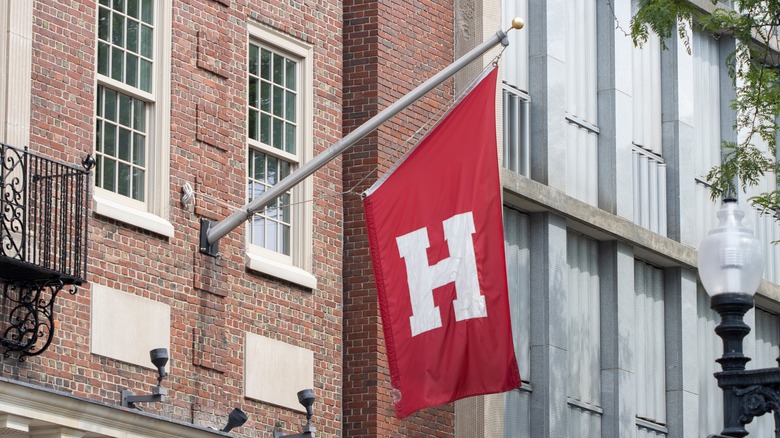 Harvard flag 