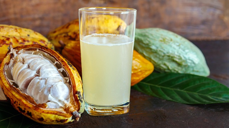 Fresh cacao water in glass and half sliced ripe yellow cacao pod with white cocoa seeds