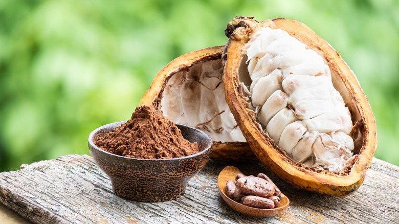 A close-up of an opened cacao fruit, next to cocoa beans and cocoa powder on a rough wooden table