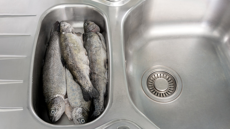 Fish defrost in a stainless steel sink