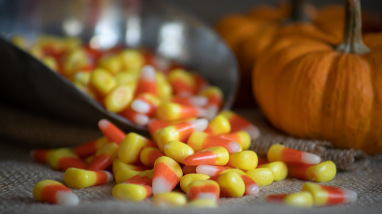 candy corn spilling out of metal scoop