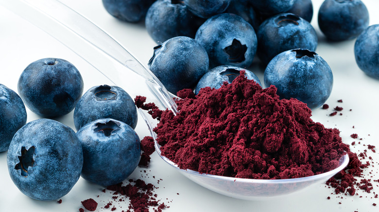 freeze dried blueberry powder