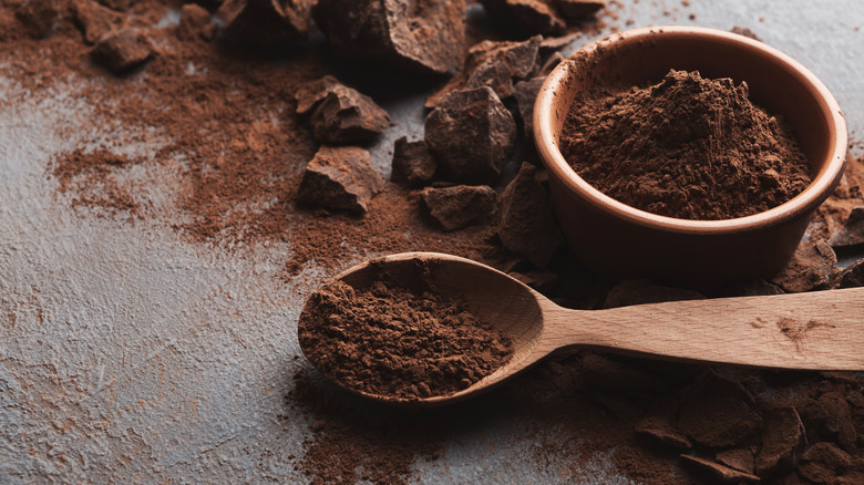 cocoa powder in bowl