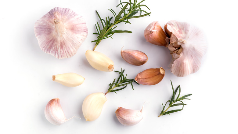 Garlic bulbs, garlic cloves, and fresh rosemary