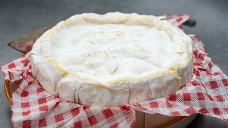 Camembert cheese wheel with red and white paper