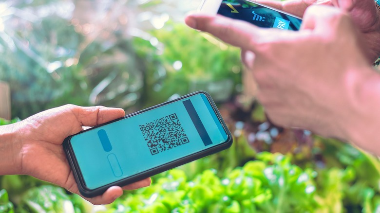 People using scan-and-go apps near produce