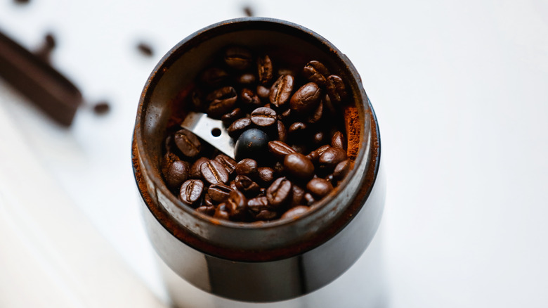 Blade coffee grinder with beans