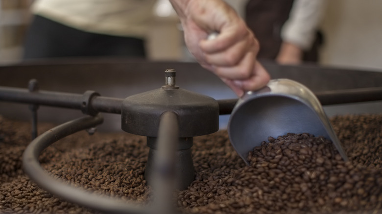 a hand uses a metal scoop on beans that are being roasted in a machine