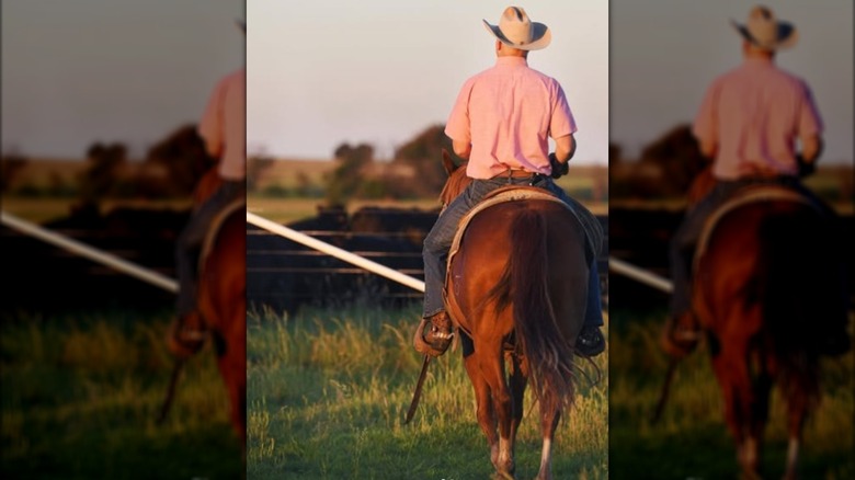 Ladd Drummond riding a horse