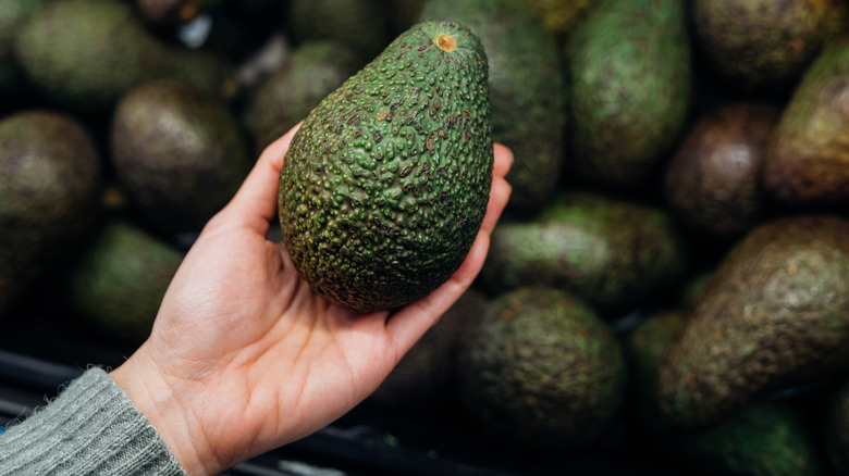 picking avocado at grocery store