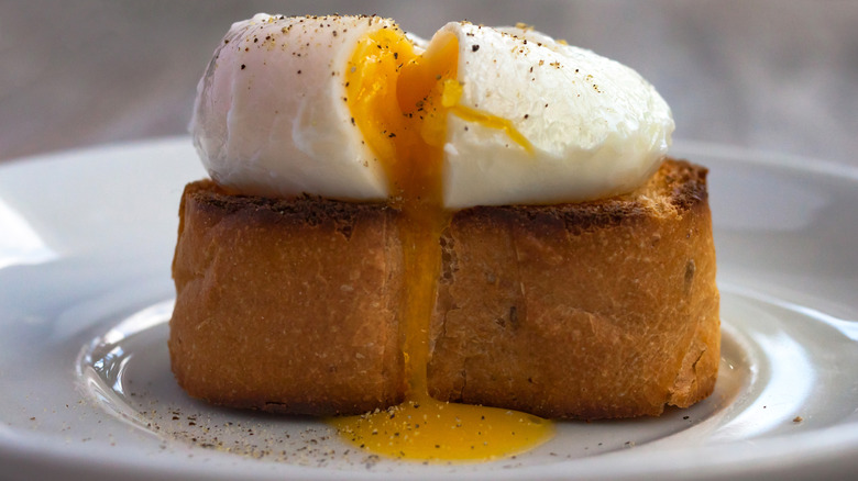 Sous vide egg on a thick slice of brioche