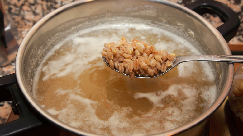 Farro in boiling water