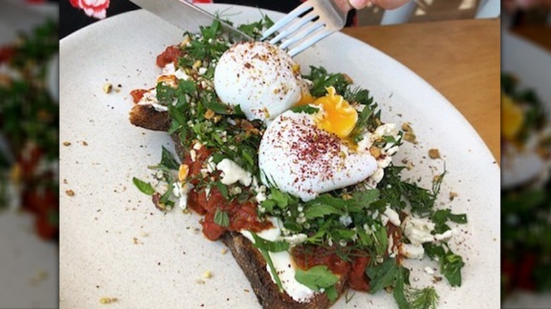 Poached egg open sandwich with Italian herbs