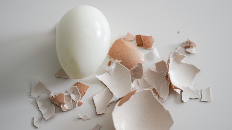 A hard-boiled egg with the brown shell taken off on a white countertop.