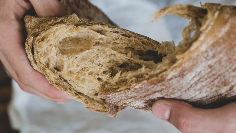 Rustic bread torn by hands