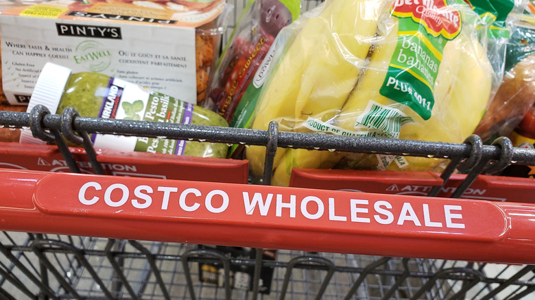 Costco shopping cart with various items