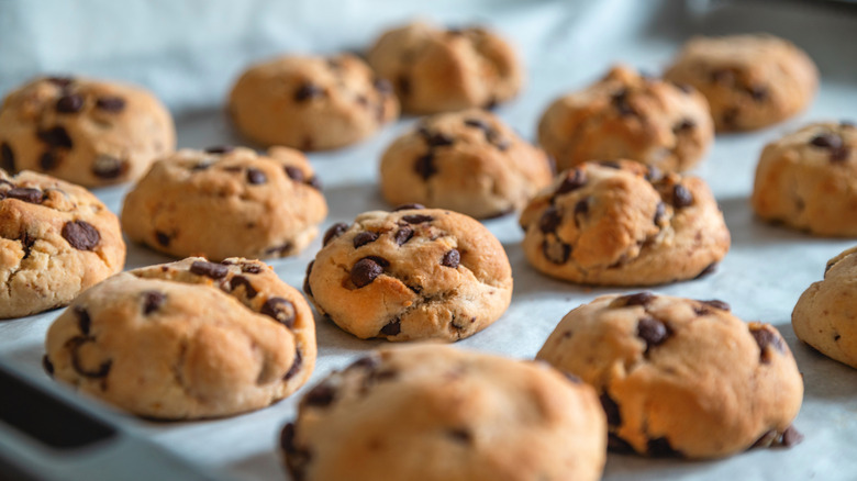 Close up of chocolate chip cookies on a cookie sheet.