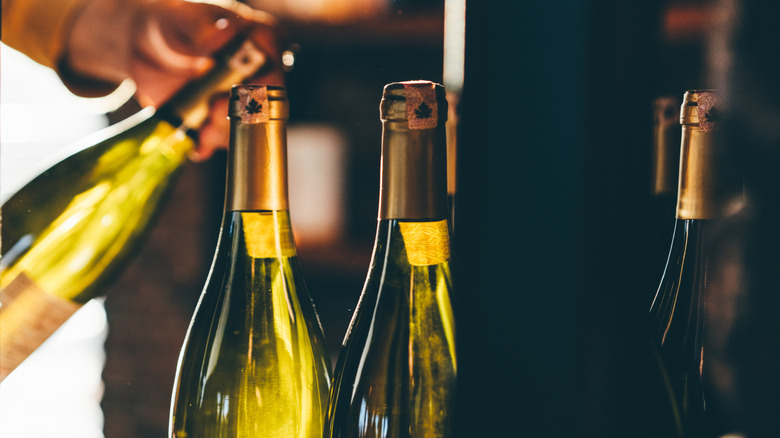 Person holding a bottle of white wine with three bottles in the foreground