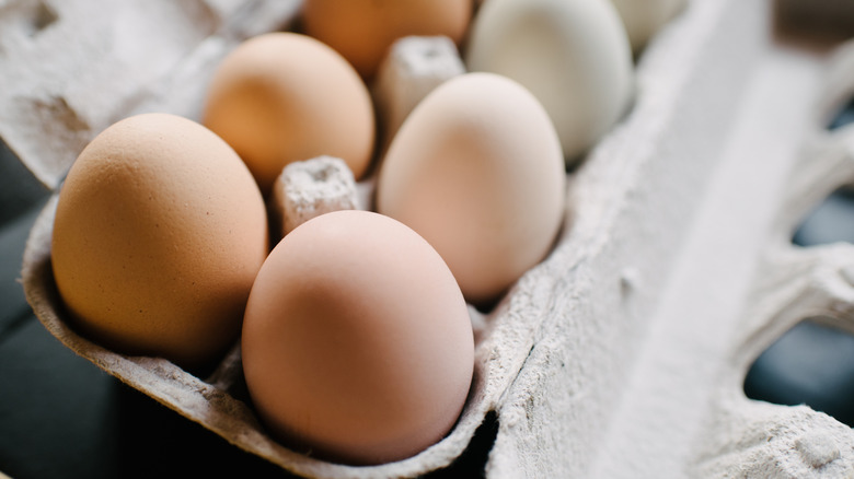 Multicolored eggs in cardboard carton