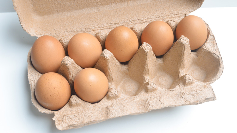 A carton holds brown eggs