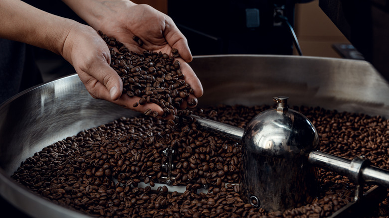 Hands holding coffee beans