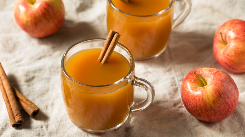 hot cider with cinnamon stick