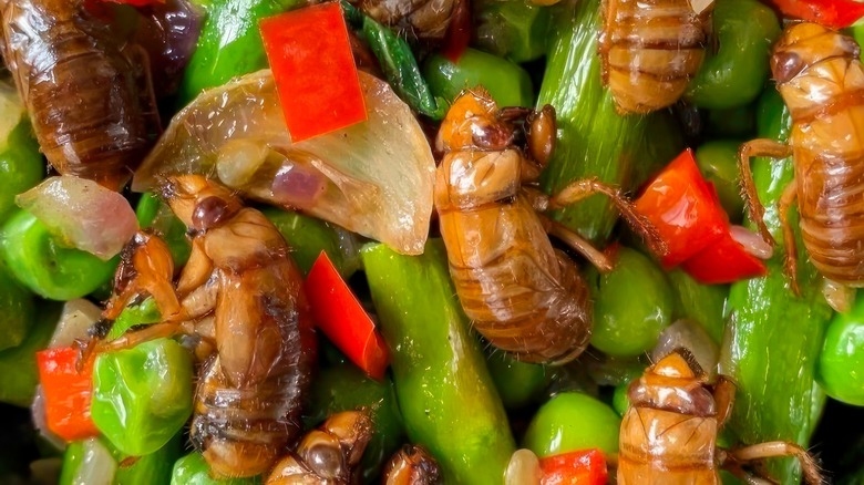 Stir fried cicadas with vegetables
