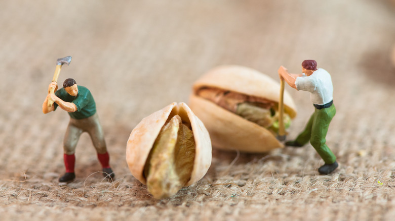 two miniature lumberjack figurines prying open pistachios