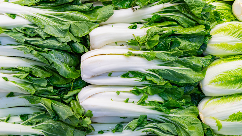 Stacks of bok choy closeup