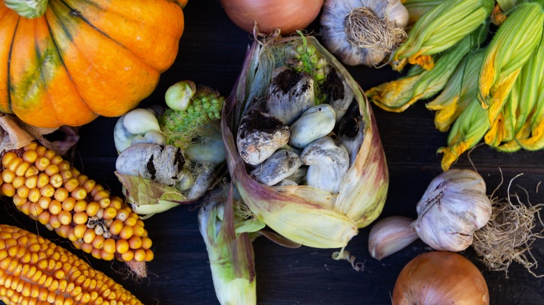 huitlacoche with nutritious vegetables
