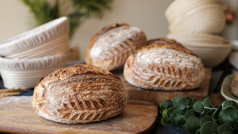 Loafs of sourdough bread with leaf scoring.