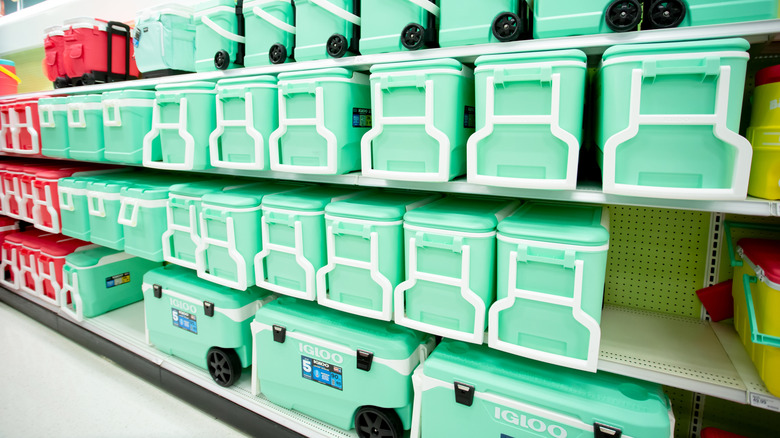 Igloo coolers lined up on a store shelf