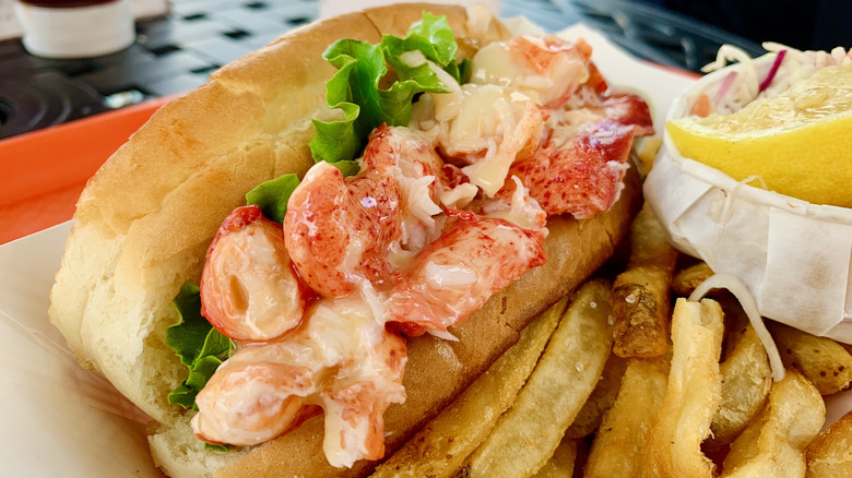 Maine lobster roll