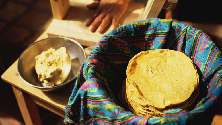 Making authentic corn tortillas