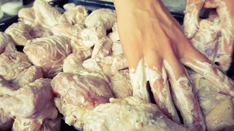 coating chicken in mayonnaise