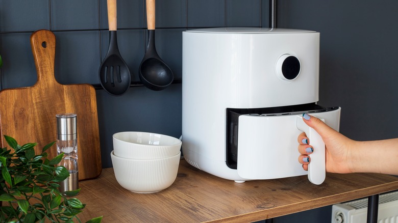 Person using an air fryer