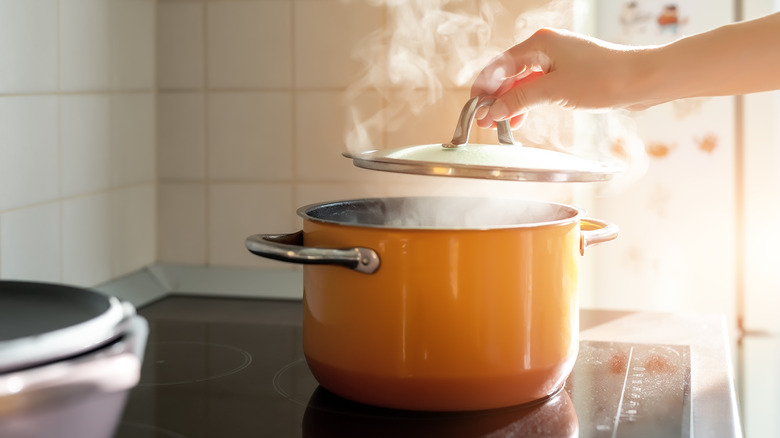 Person putting a lid on a pot