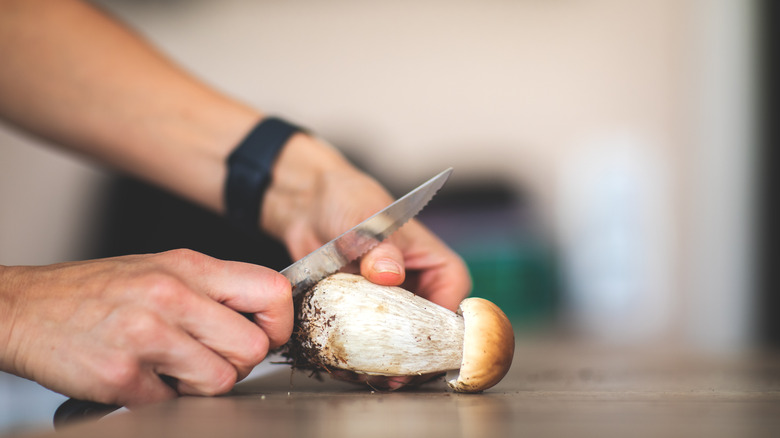 Person cutting mushroom stem with a knife