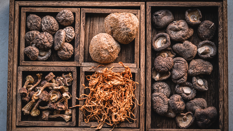 Different varieties of dried mushrooms in a box