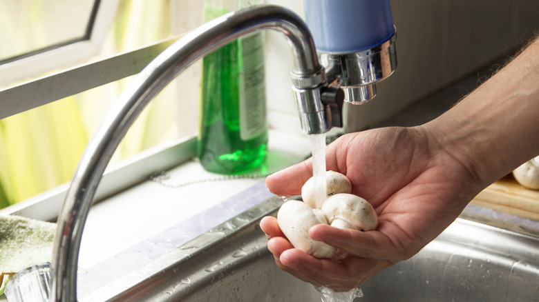 Person washing mushrooms in their hand