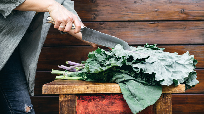 A person cutting collard greens