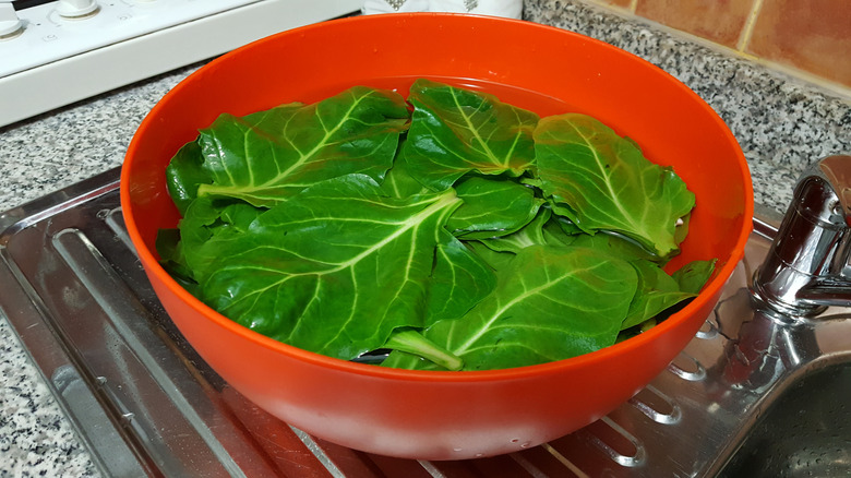 Collard greens in a bowl of water