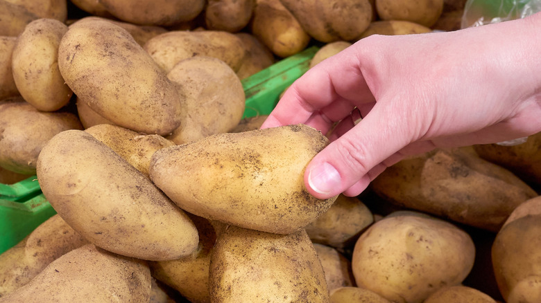 Close up of a hand picking up a potato to buy it