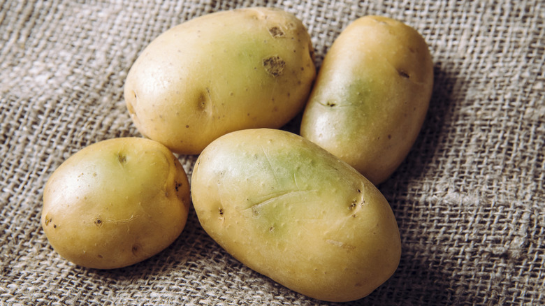 Four potatoes with partially green skin on a hemp cloth