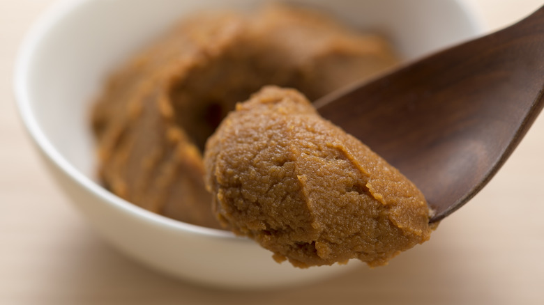 A spoonful of miso paste for making sweet and savory dishes taste better