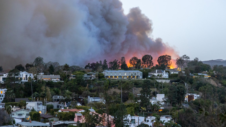 Wildfire burns in Malibu, January 2025