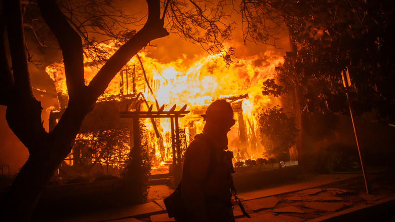 Image of the Palisades Fire in Los Angeles, January 2025